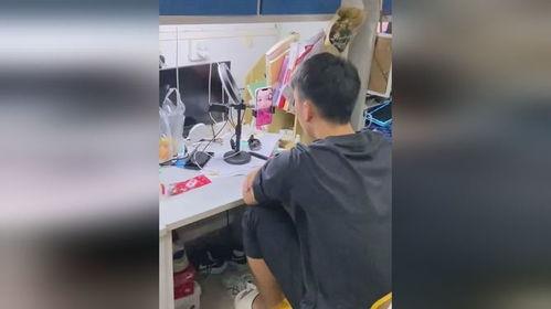 普通人吃瓜群视频,普通人视角下的短视频狂欢