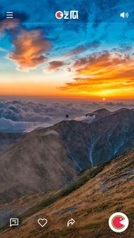 真实吃瓜视频下载,一场真实视频背后的狂欢与争议