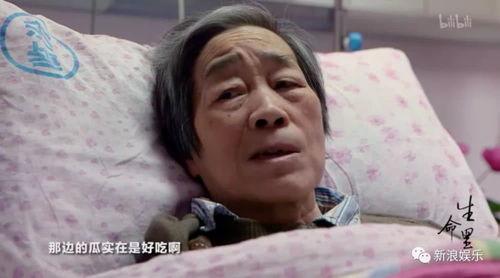 新疆人吃瓜的视频,一场视觉与味蕾的双重盛宴