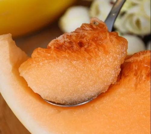 孩子吃黄金蜜瓜好吗视频,孩子食用益处多，营养美味两不误