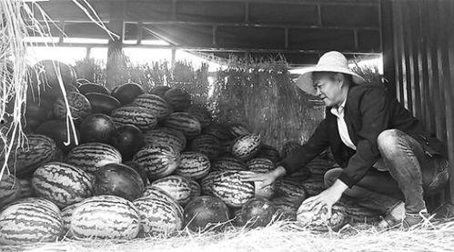 考古吃瓜群众视频,揭秘古文明，吃瓜群众镜头下的历史瞬间