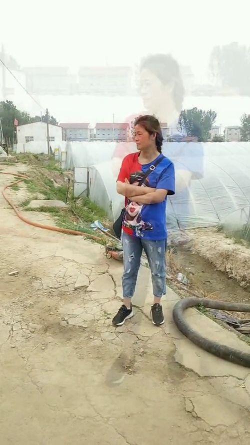 赣榆吃瓜的视频,一场视觉与味蕾的双重盛宴