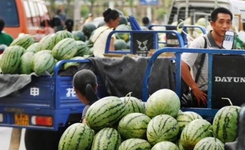 河南城改办吃瓜视频,揭秘城市改造背后的故事