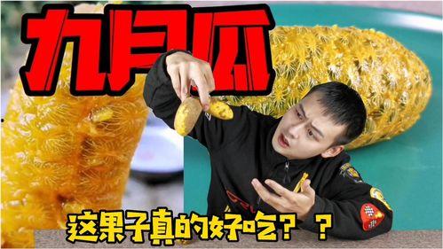 九月吃瓜事件真相视频,真相视频曝光背后的惊人内幕