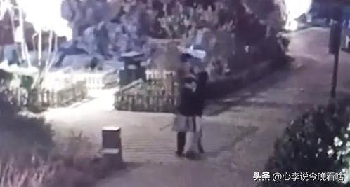 沈飞吃瓜完整视频,全程视频深度解析