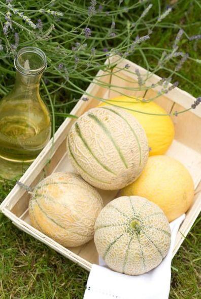 吃太多瓜好不好吃呀视频,揭秘“吃太多瓜好不好吃”的甜蜜诱惑