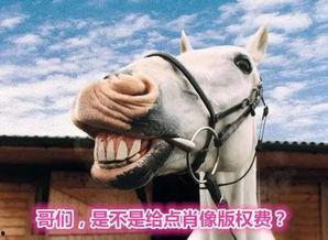 马吃瓜搞笑视频下载,笑料横生，欢乐无限下载攻略