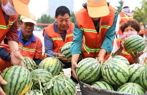 临沂郯城吃瓜事件视频,一场引发热议的网络视频风波