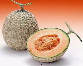 长花纹瓜怎么吃才好吃视频,长花纹瓜美味食法大揭秘  第2张