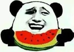 二狗子吃瓜群众视频大全,揭秘网络视频背后的趣味人生 第3张 二狗子吃瓜群众视频大全,揭秘网络视频背后的趣味人生 第3张