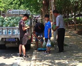 金乡吃瓜群众新闻视频,最新新闻视频揭秘事件真相 第2张 金乡吃瓜群众新闻视频,最新新闻视频揭秘事件真相 第2张