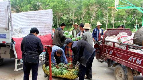 金乡吃瓜群众新闻视频,最新新闻视频揭秘事件真相 第3张 金乡吃瓜群众新闻视频,最新新闻视频揭秘事件真相 第3张