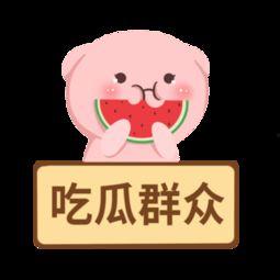 吃瓜群众吃不到的视频素材,吃瓜群众无法触及的独家视频素材大揭秘  第2张