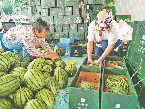 最近西昌吃瓜事件视频,一场网络热议背后的真相揭秘  第3张