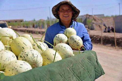 阿坝县吃瓜事件视频,一场引发热议的网络风波