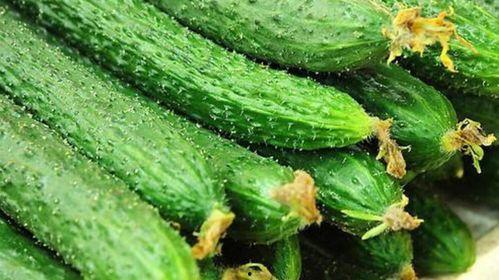 吃白瓜的小妙招视频大全,视频大全揭秘美味小妙招 第3张 吃白瓜的小妙招视频大全,视频大全揭秘美味小妙招 第3张