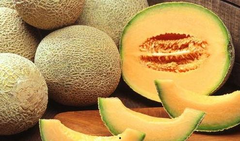 哈密瓜怕下雨天吃吗视频,哈密瓜雨天食用禁忌揭秘 第3张 哈密瓜怕下雨天吃吗视频,哈密瓜雨天食用禁忌揭秘 第3张