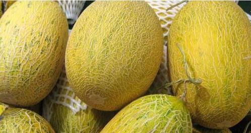 吃馕吃哈密瓜好吗视频,美味绝配的西域风味探索 第2张 吃馕吃哈密瓜好吗视频,美味绝配的西域风味探索 第2张