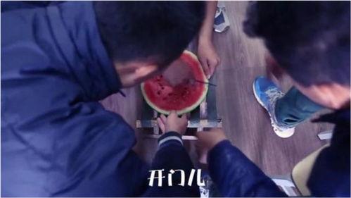 爆笑吃瓜段子大全视频,笑出腹肌的欢乐时光