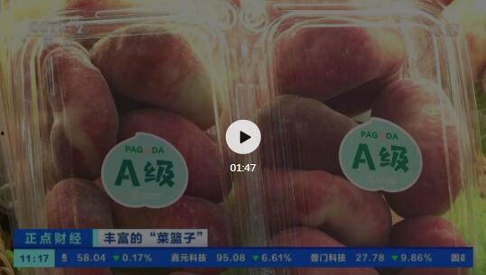 吃瓜视频栏目,吃瓜视频栏目带你领略明星幕后故事