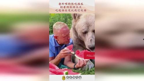 大狗熊搞笑吃瓜视频,笑料横飞！  第2张