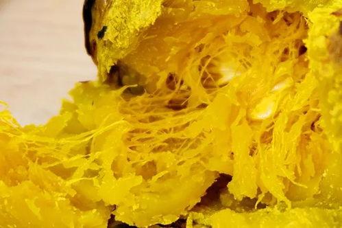 小网红吃瓜视频下载安装,下载安装攻略全解析  第3张