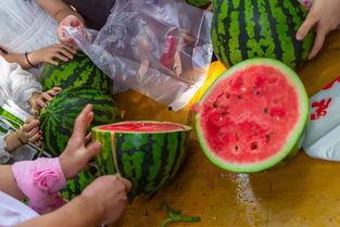 金香吃瓜最新视频网站,揭秘最新视频网站精彩瞬间 第3张 金香吃瓜最新视频网站,揭秘最新视频网站精彩瞬间 第3张