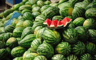 背着锅吃瓜的视频 第3张 背着锅吃瓜的视频 第3张