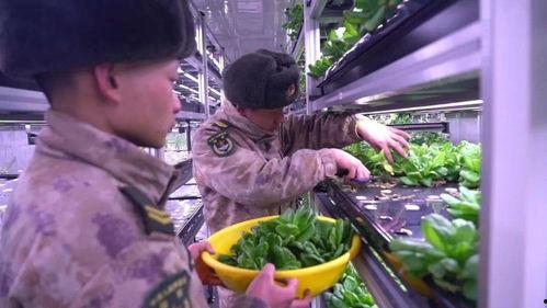 西宁阿爸吃瓜原视频,一场接地气的乡村美食盛宴 第2张 西宁阿爸吃瓜原视频,一场接地气的乡村美食盛宴 第2张