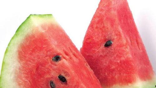 种的瓜种子可以吃吗视频,揭秘可食用瓜种子的奥秘 第2张 种的瓜种子可以吃吗视频,揭秘可食用瓜种子的奥秘 第2张