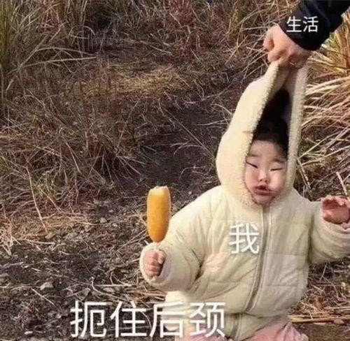 带你吃瓜沙雕拍照视频,带你吃瓜沙雕拍照视频大揭秘  第2张