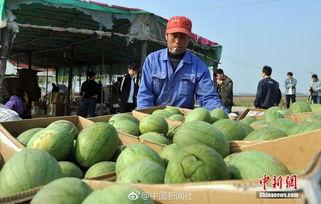 安新县一中吃瓜视频,一场吃瓜视频引发的校园热议 第2张 安新县一中吃瓜视频,一场吃瓜视频引发的校园热议 第2张